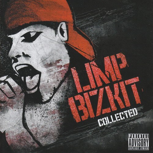 Limp Bizkit 2008 - Collected